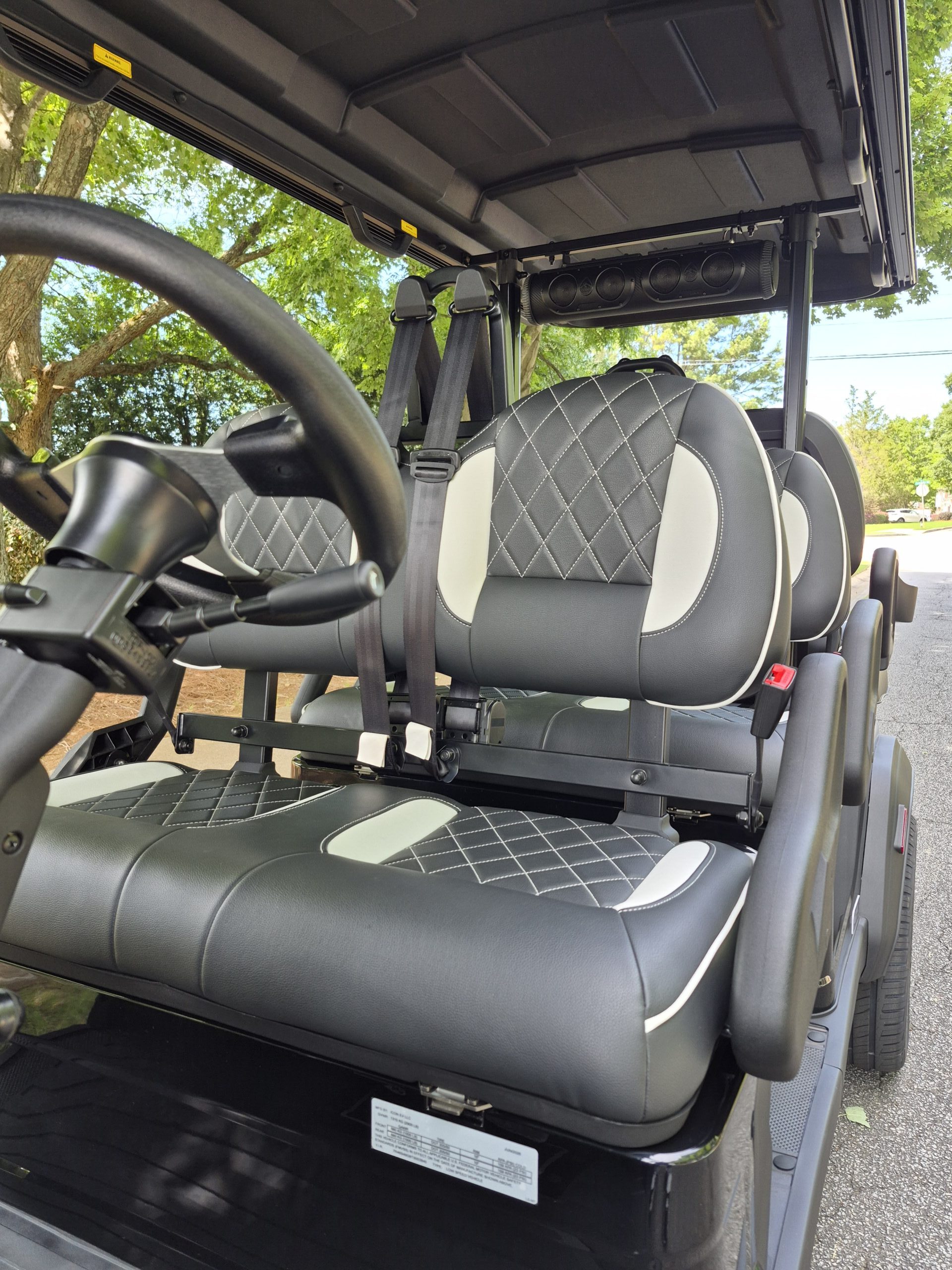
								2026 ICON EV i60LX full									