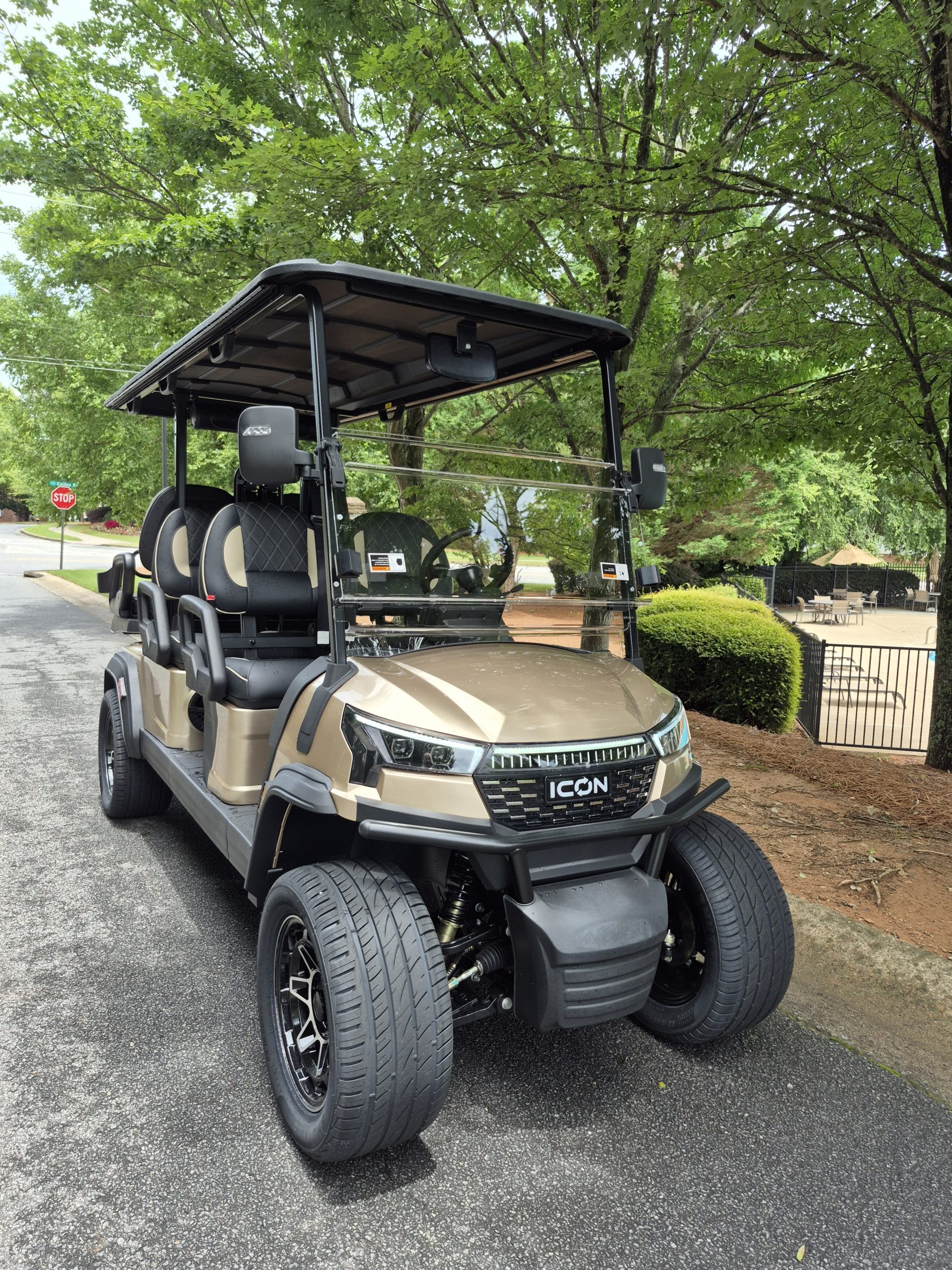 
								2026 ICON EV i60LX full									