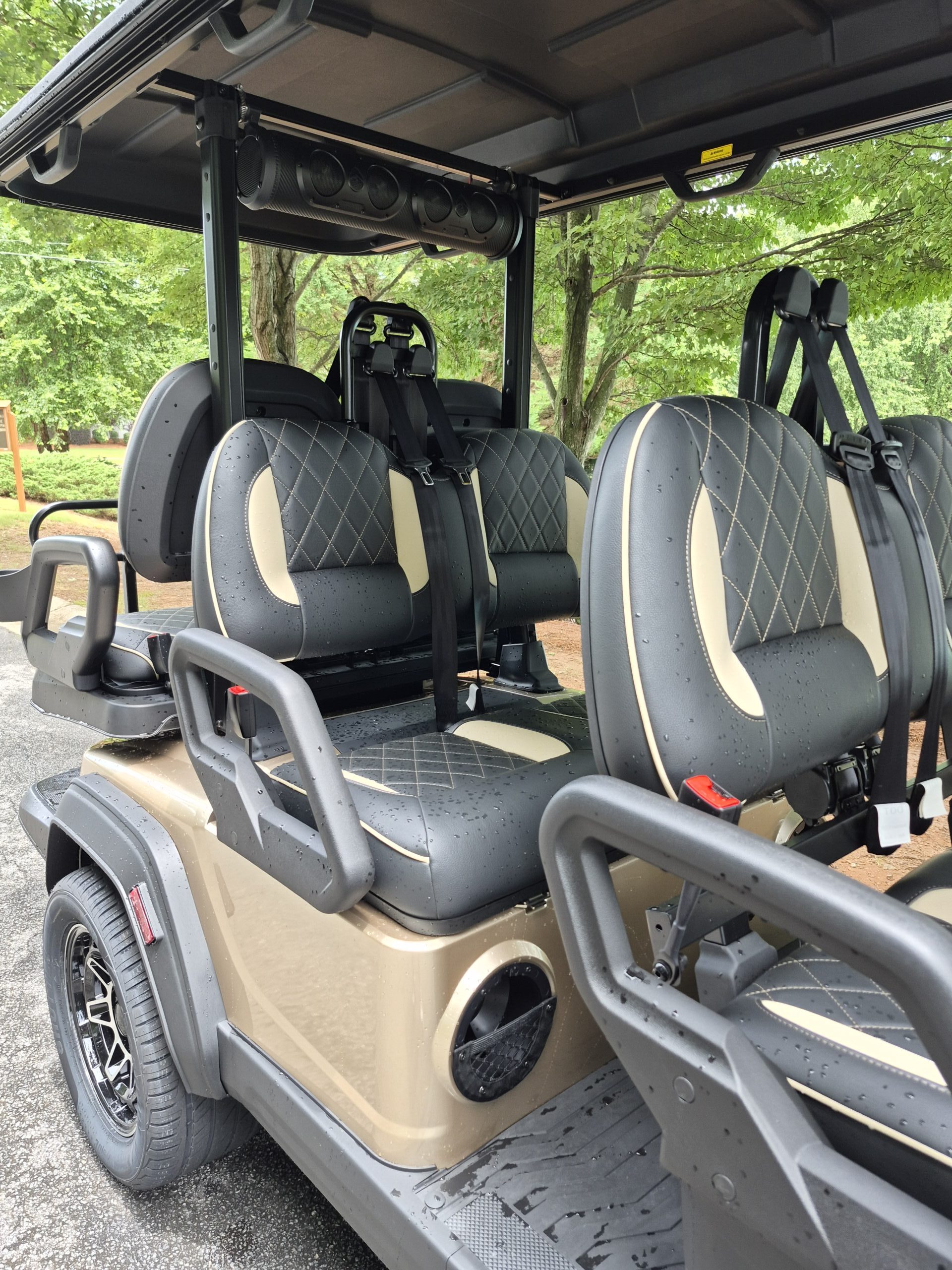 
								2026 ICON EV i60LX full									