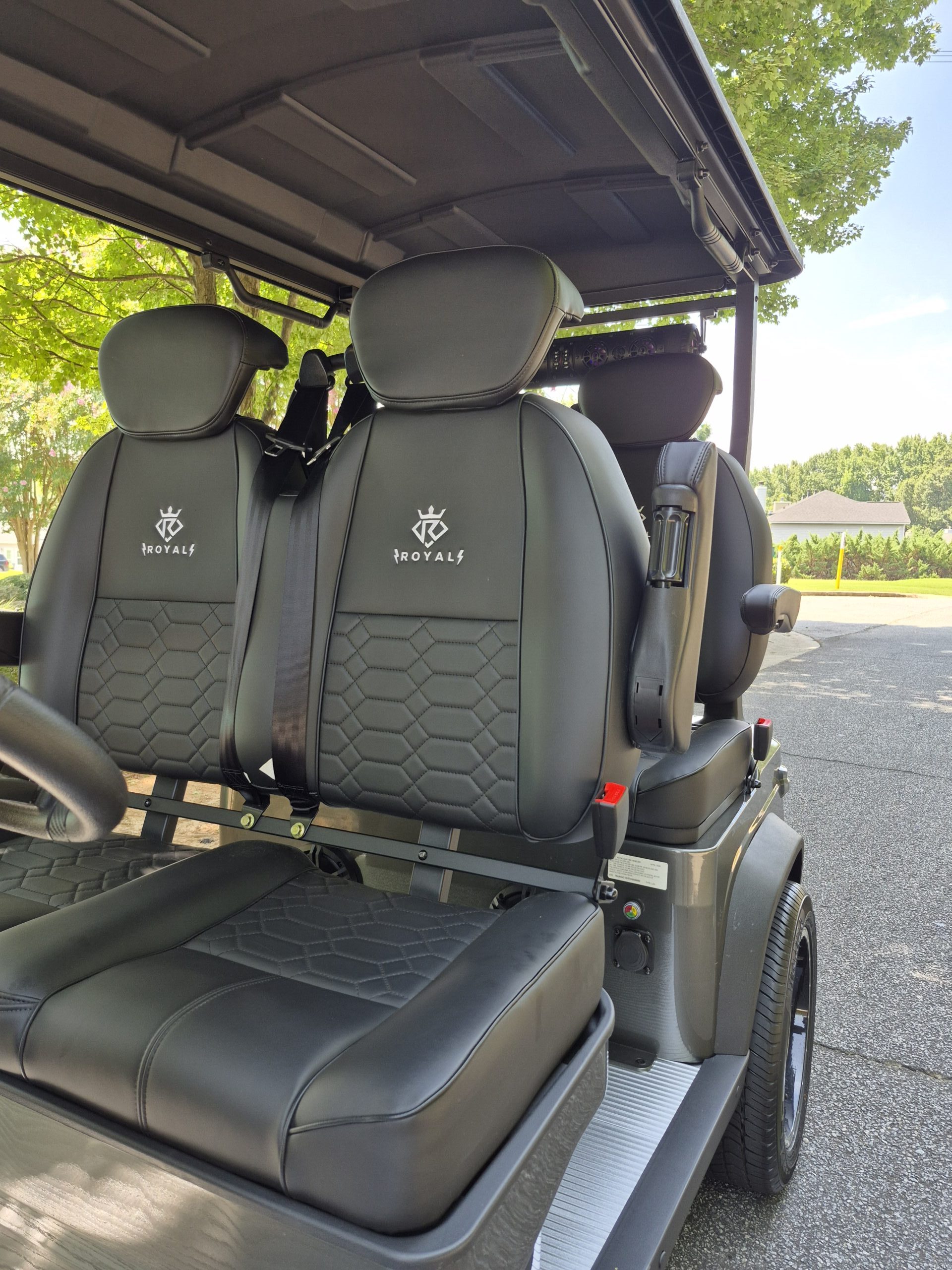 
								2026 Royal EV Majesty 4 Facing Forward full									